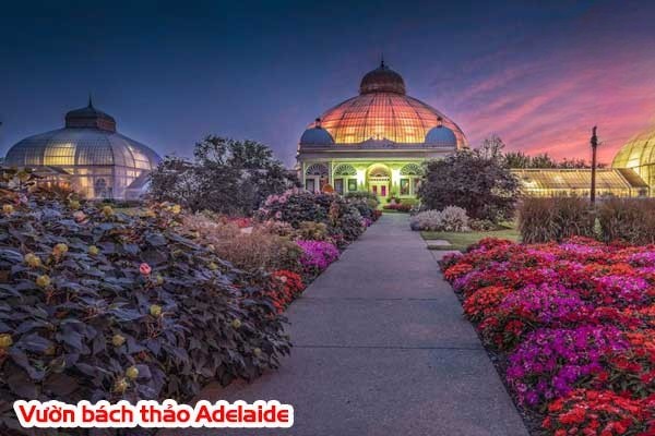 Vườn Bách Thảo Adelaide